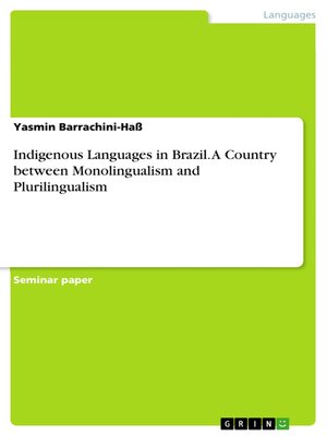 cover image of Indigenous Languages in Brazil. a Country between Monolingualism and Plurilingualism